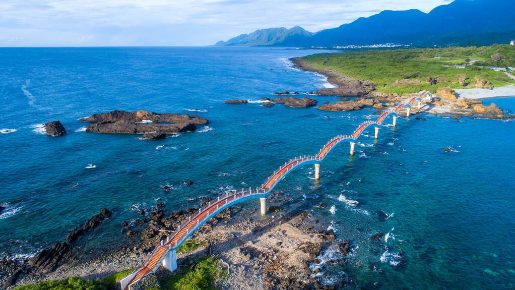 真情部落格 油麻菜籽
